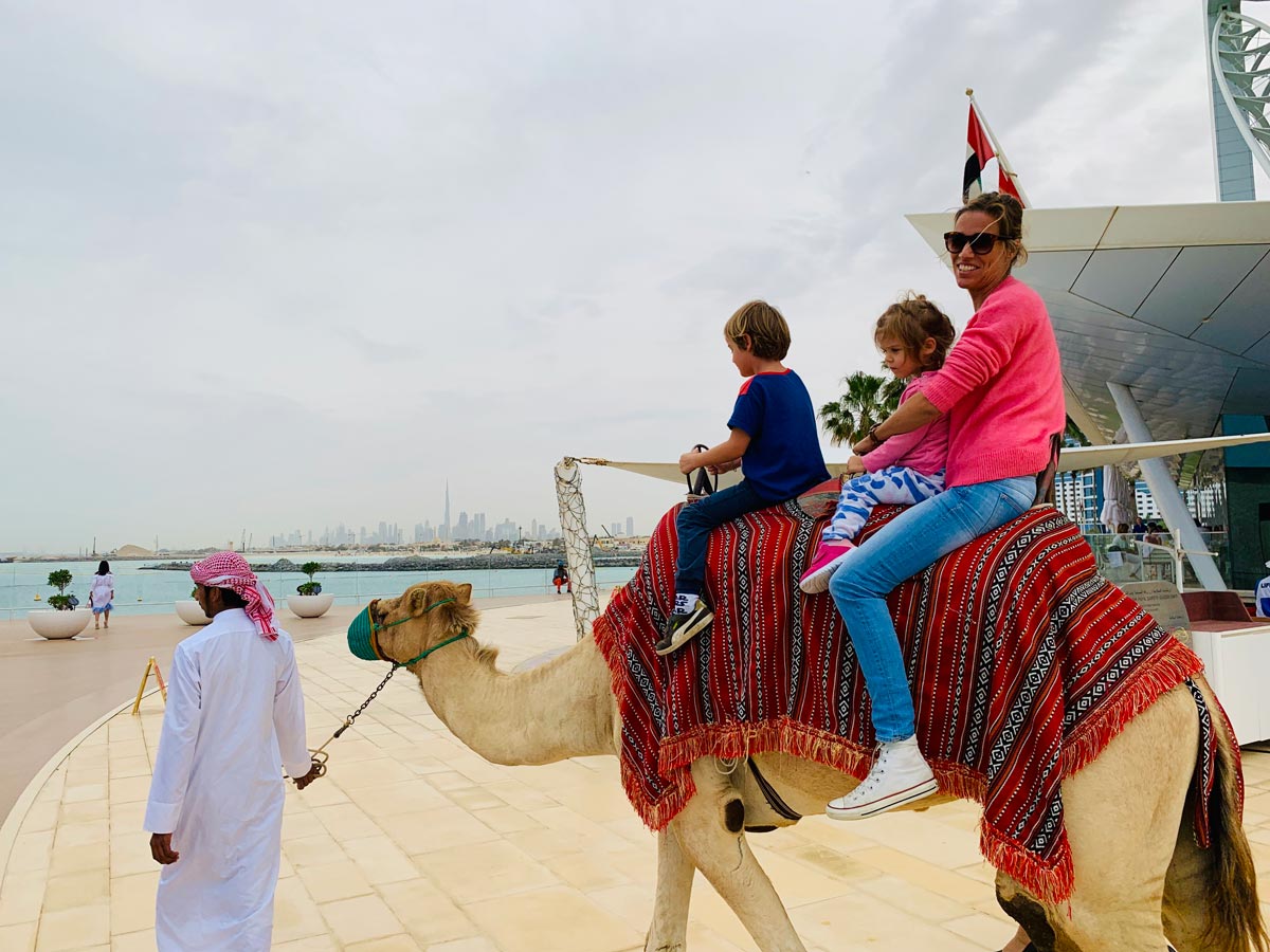 Kamel-Ausritt in Dubai