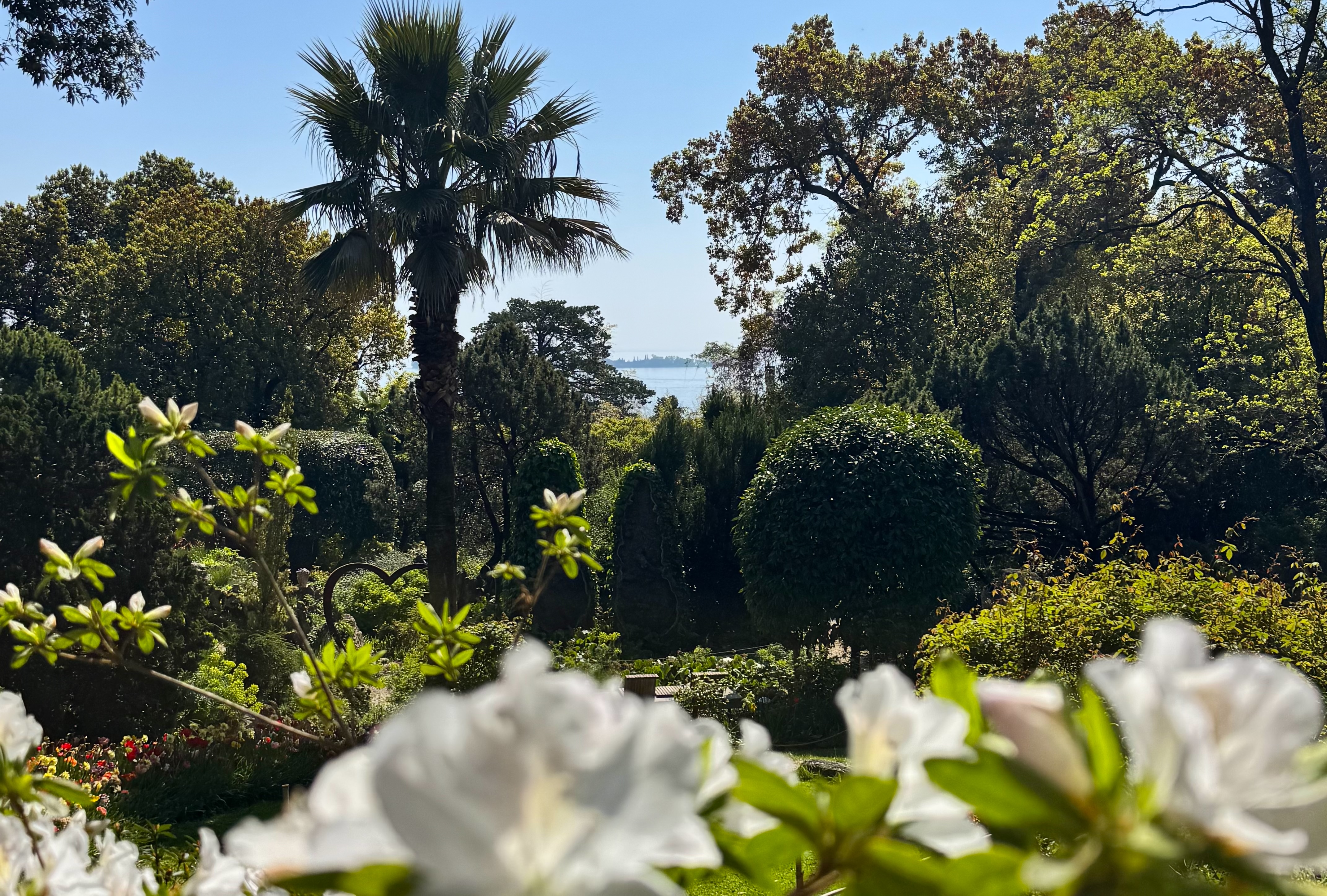Frühlingserwachen in Norditalien: Zwei Botanische Gärten, zwei Welten